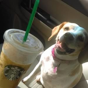 Meet your Posher, Robin